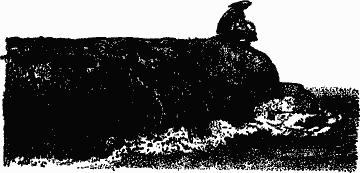 Птица-Радость. Рассказы о голубиной охоте. - i3c01b63ec7