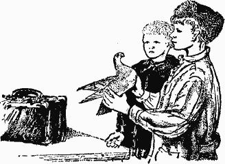 Птица-Радость. Рассказы о голубиной охоте. - icf1fd29fa5