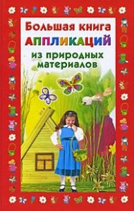 Большая книга аппликаций из природных материалов - Дубровская Наталия