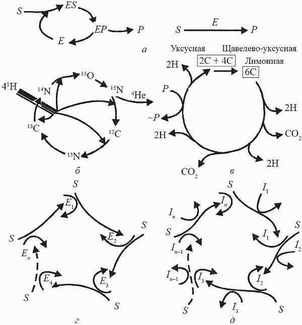 Удивительная палеонтология. История земли и жизни на ней - i_020.png