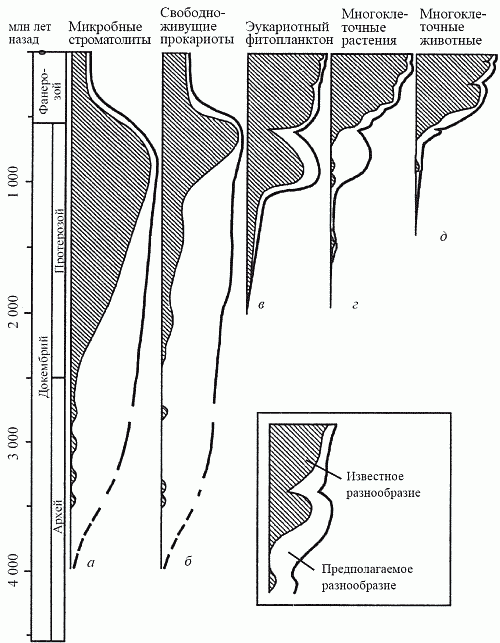 Удивительная палеонтология. История земли и жизни на ней - i_026.png