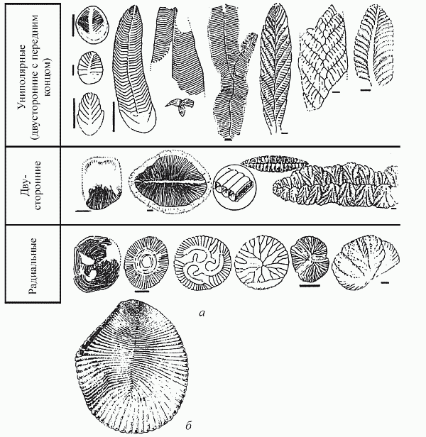 Удивительная палеонтология. История земли и жизни на ней - i_028.png