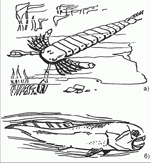 Удивительная палеонтология. История земли и жизни на ней - i_033.png