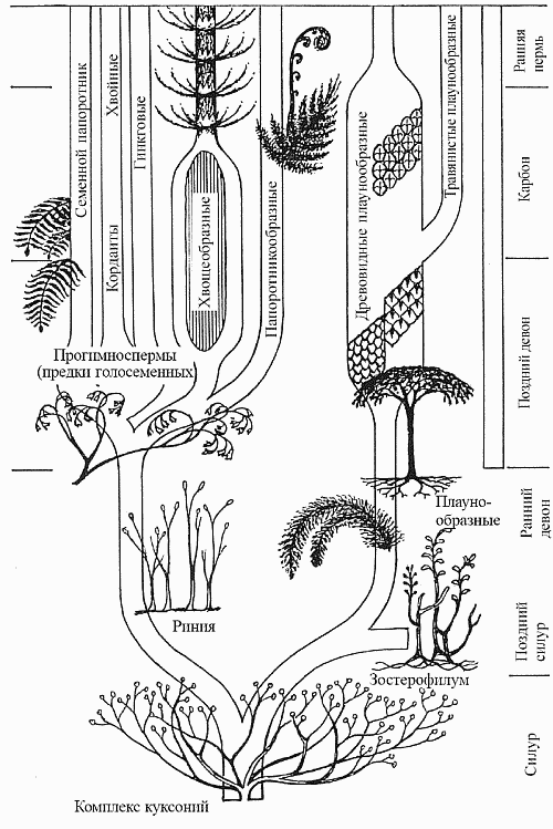Удивительная палеонтология. История земли и жизни на ней - i_038.png