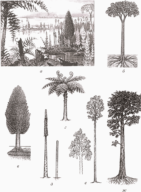 Удивительная палеонтология. История земли и жизни на ней - i_043.png