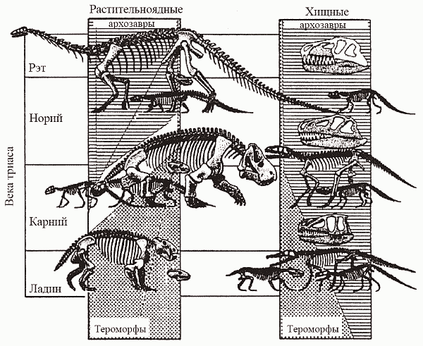 Удивительная палеонтология. История земли и жизни на ней - i_050.png