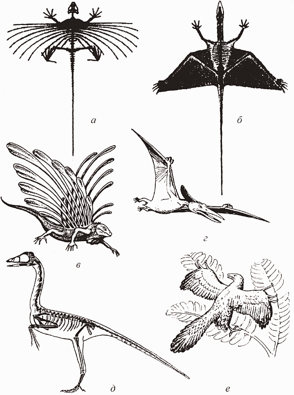 Удивительная палеонтология. История земли и жизни на ней - i_056.png