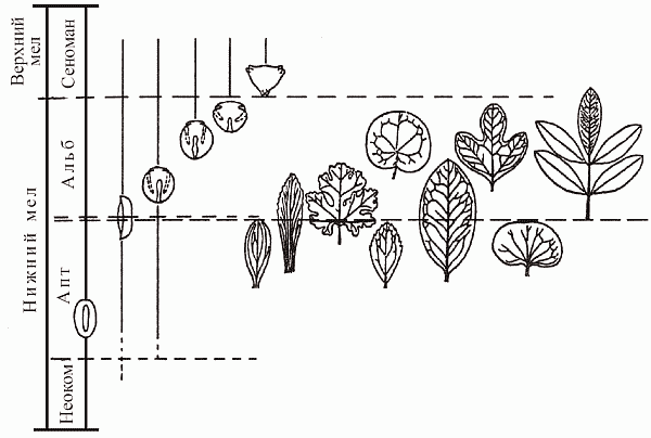 Удивительная палеонтология. История земли и жизни на ней - i_059.png