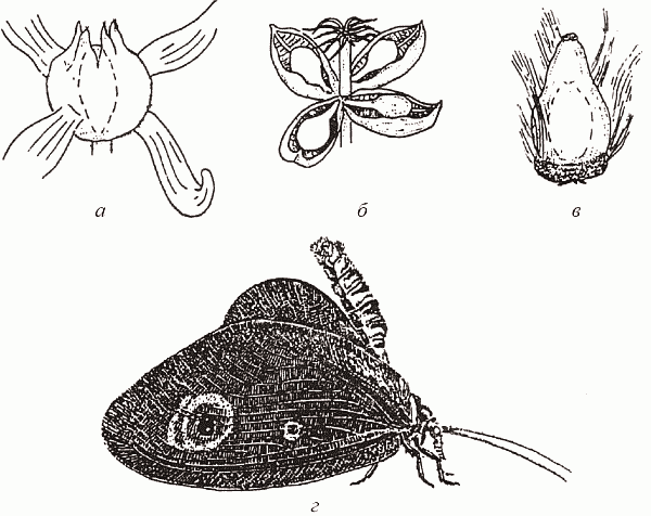 Удивительная палеонтология. История земли и жизни на ней - i_061.png