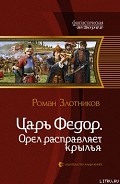 Серия книг Царь Федор