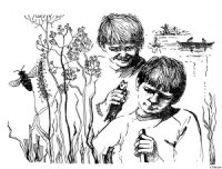 Приключение на реке Лесной - Кобылин Валерий