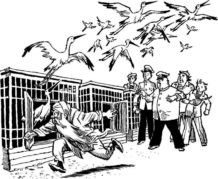 Солнышкин плывёт в Антарктиду - image62.jpeg