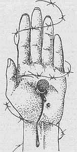 Преступники и преступления. Женщины-убийцы. Воровки. Налетчицы - i_073.jpg