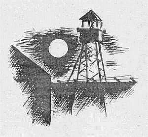 Преступники и преступления. Женщины-убийцы. Воровки. Налетчицы - i_102.jpg