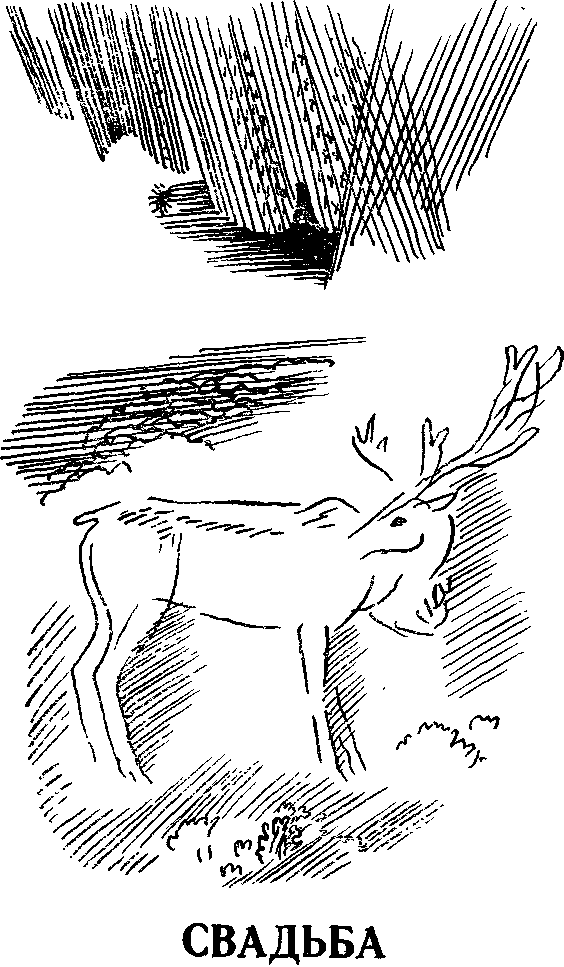 Метели ложаться у ног - image013.png