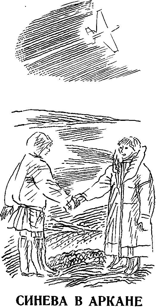 Метели ложаться у ног - image015.png