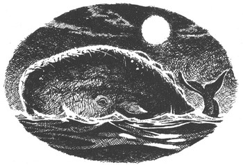 Война чародеев - pic13.jpg