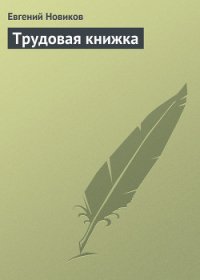 Трудовая книжка - Новиков Евгений
