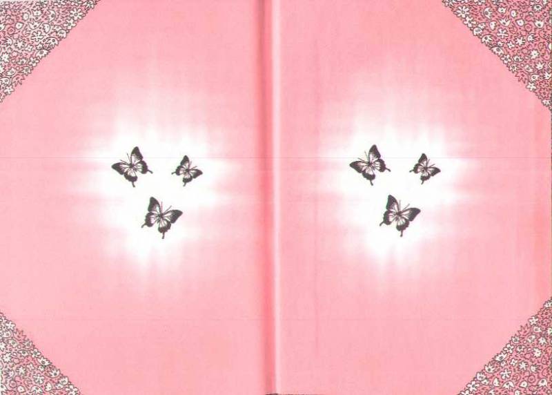 Роза и семь братьев - i_013.jpg