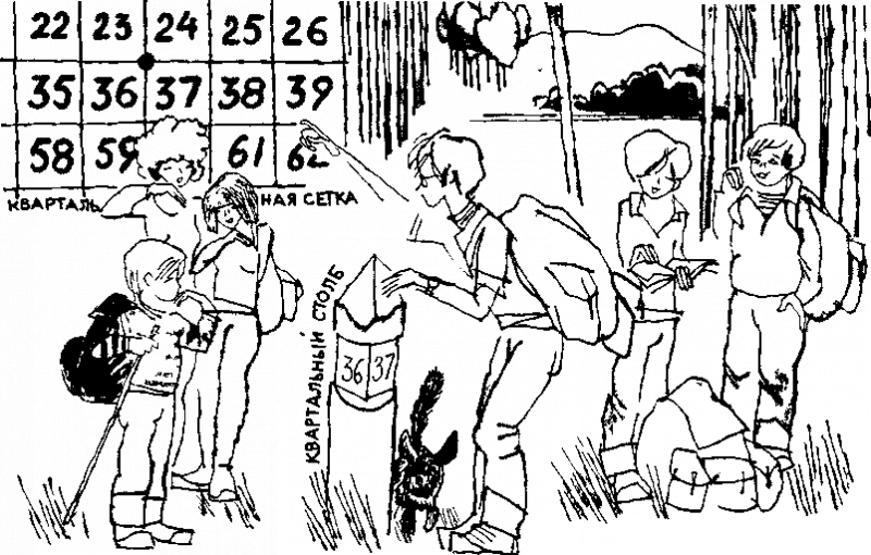 Дневник Толи Скворцова, путешественника и рыболова - i_008.png