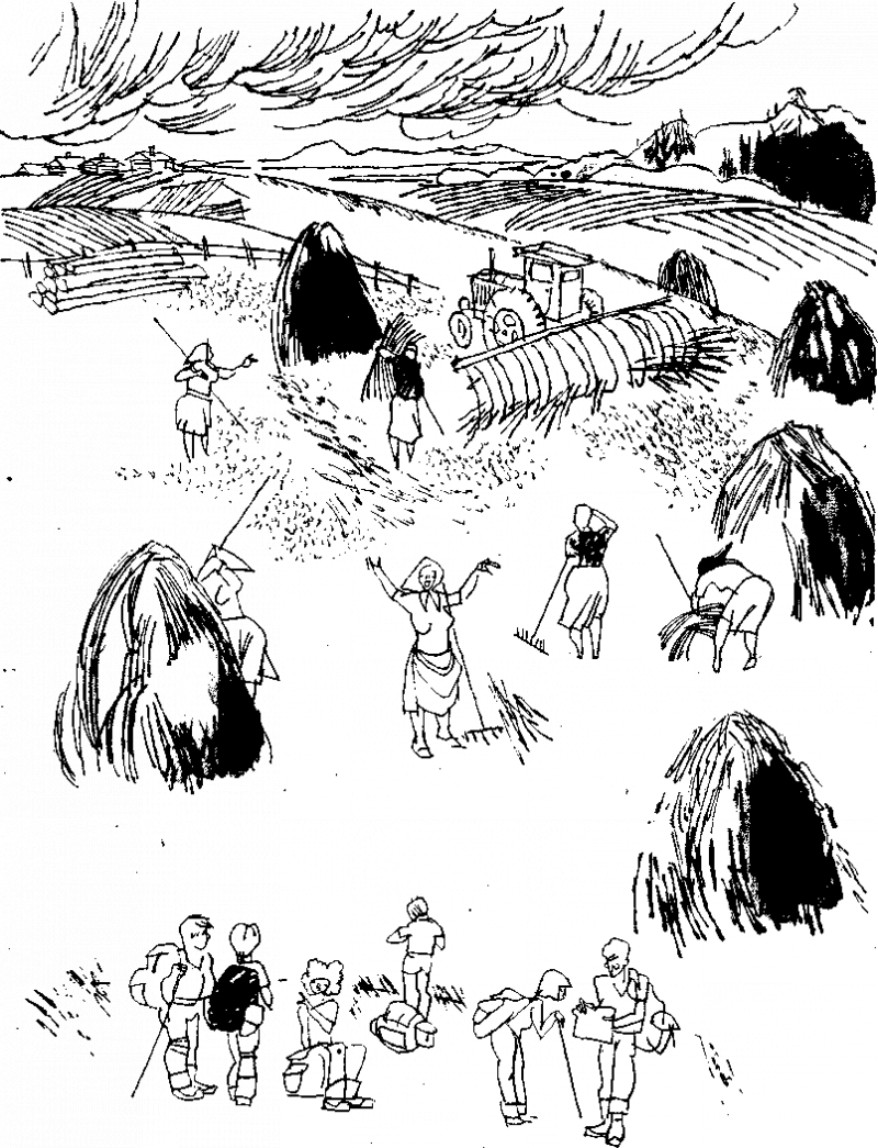 Дневник Толи Скворцова, путешественника и рыболова - i_009.png