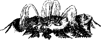 Аойя - rsl01002921844__044.png