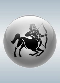 Стрелец (23.11 - 21.12) - Степанова Мария Игоревна