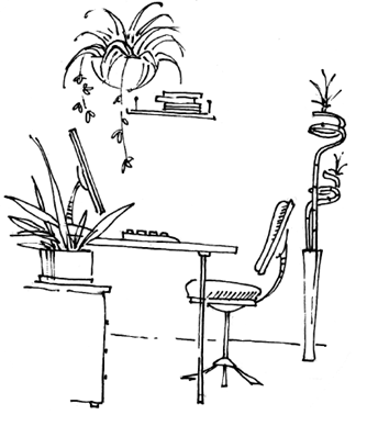 48 советов по обретению денежной удачи - pic_13.png