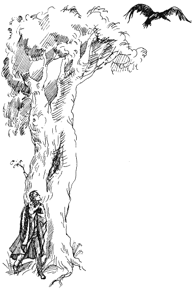 Астрель и Хранитель Леса - i_061.png