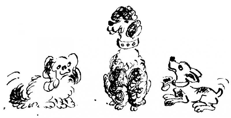 Пятеро ребят и одна собака - _02_009.png