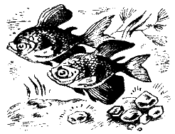 Дело об изумрудах шейха - i_001.png