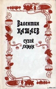 Кубик - Катаев Валентин Петрович