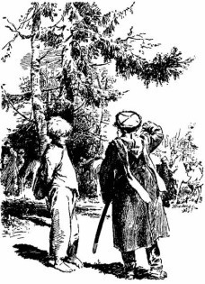 Сын полка - any2fbimgloader4.jpeg