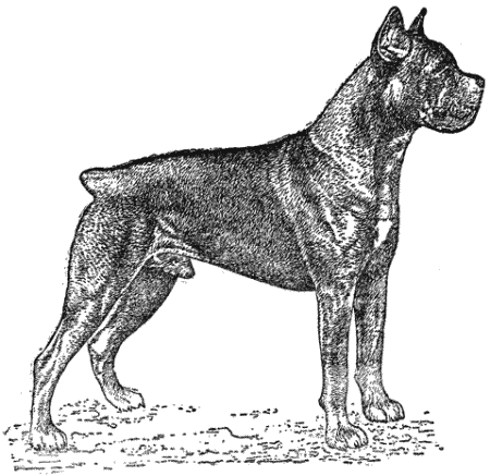 Служебная собака. Руководство по подготовке специалистов служебного собаководства - i_019.png