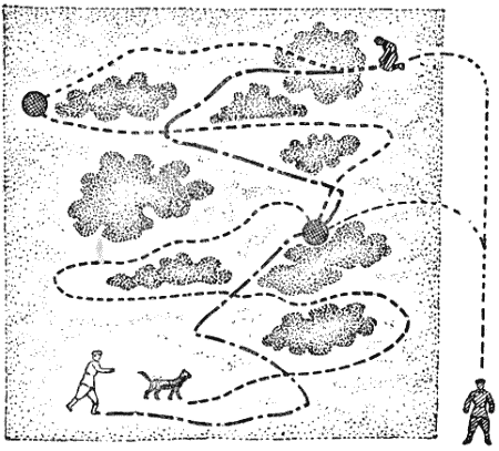 Служебная собака. Руководство по подготовке специалистов служебного собаководства - i_152.png