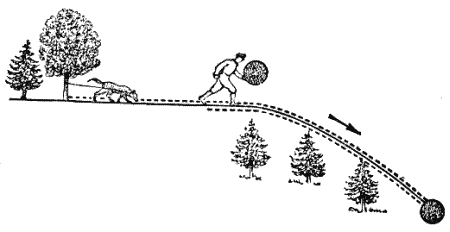 Служебная собака. Руководство по подготовке специалистов служебного собаководства - i_154.png