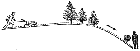 Служебная собака. Руководство по подготовке специалистов служебного собаководства - i_155.png