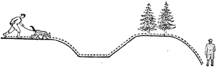 Служебная собака. Руководство по подготовке специалистов служебного собаководства - i_156.png