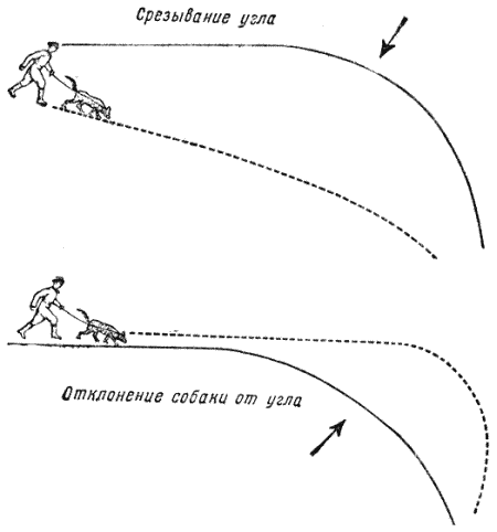 Служебная собака. Руководство по подготовке специалистов служебного собаководства - i_163.png
