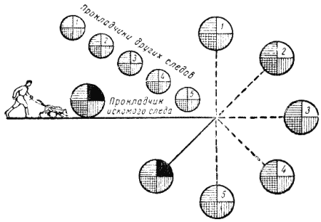Служебная собака. Руководство по подготовке специалистов служебного собаководства - i_170.png