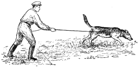 Служебная собака. Руководство по подготовке специалистов служебного собаководства - i_171.png