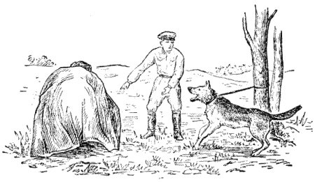 Служебная собака. Руководство по подготовке специалистов служебного собаководства - i_172.png