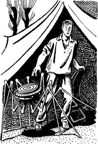 Шесть спичек (сборник) - i_005.png