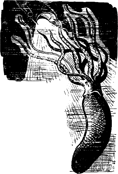 Шесть спичек (сборник) - i_009.png