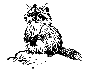 Начало рыбачьего патруля - i_016.png