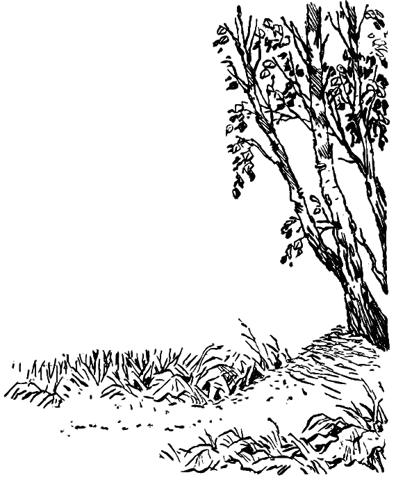 Начало рыбачьего патруля - i_030.png