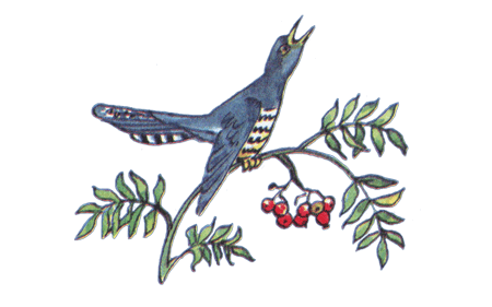 Иван — коровий сын - i_041.png