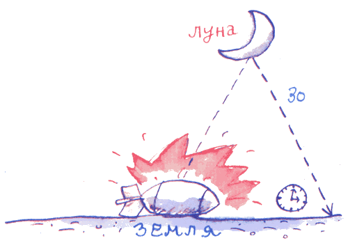 Лекции профессора Чайникова - i_064.png