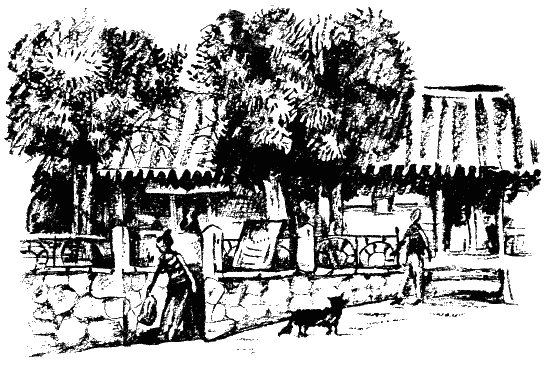 Завещание поручика Зайончковского - i_002.png