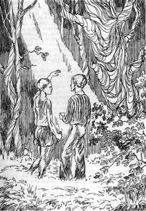 Бухта Туманов - Any2FbImgLoader0